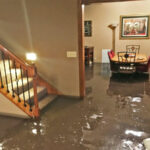 Mold Remediation After Floods: Essential Steps for Safety