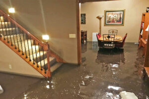 Mold Remediation After Floods: Essential Steps for Safety